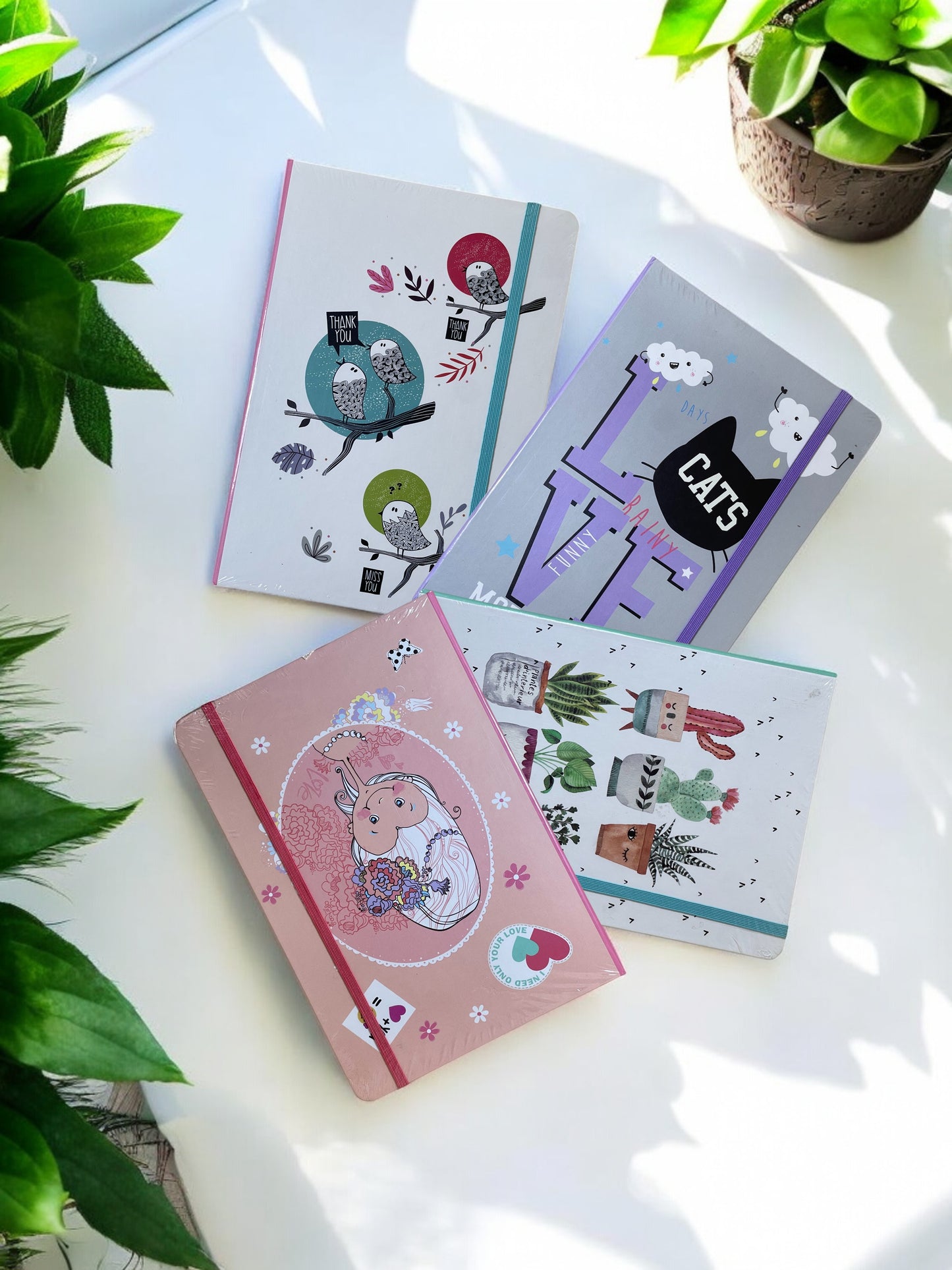 Kind Word's Series : Full Collection (Pack of 4!)